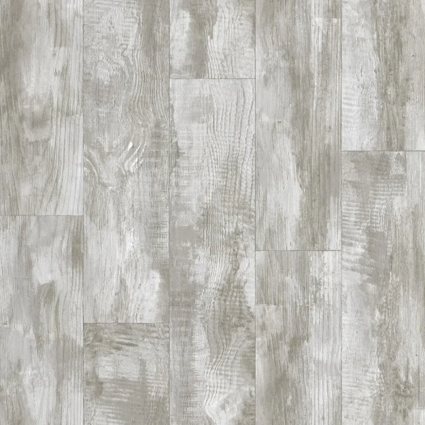 gladiator miele 3