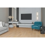 gusto 7