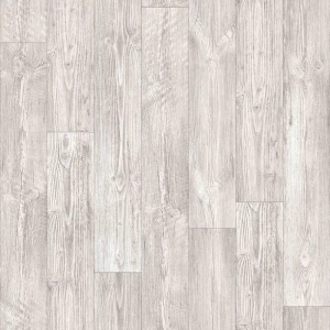 targo australian pine 1