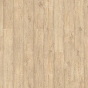 trophy neom