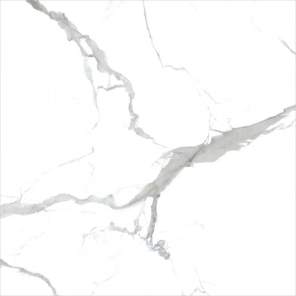 calacatta grey 80