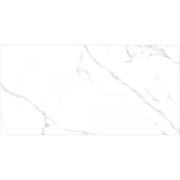 gfa3060crr00r 02