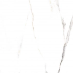 gfu6060ecl04r 04
