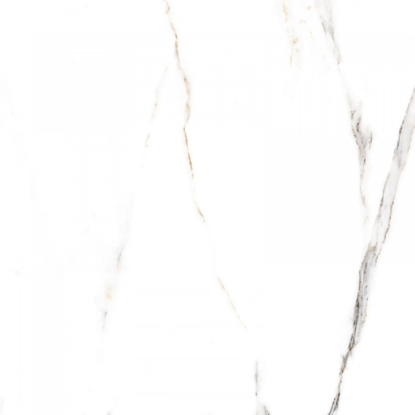 gfu6060ecl04r 04