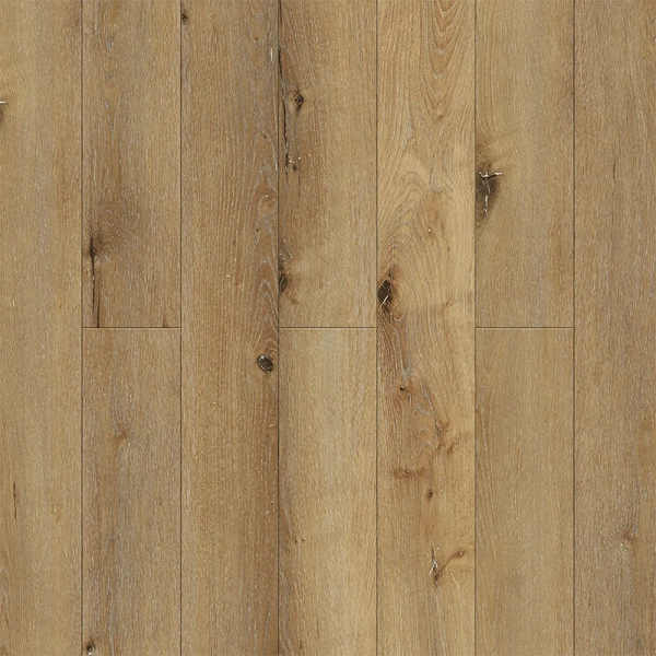 joli j1004 дримерс